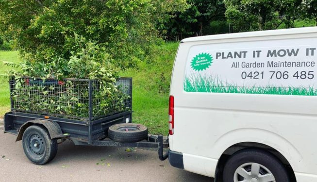 plant it mow it rubbish removal